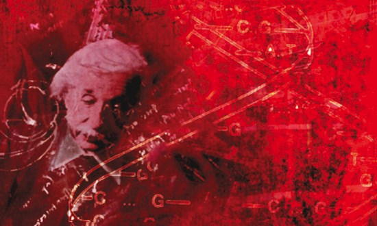 Coleção Paradidáticos