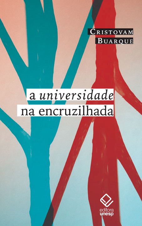 A universidade na encruzilhada